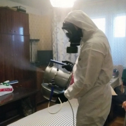 Дезинфекция от клопов в Лесозаводске