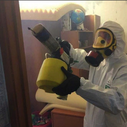 Уничтожение клопов в квартире. Лесозаводск